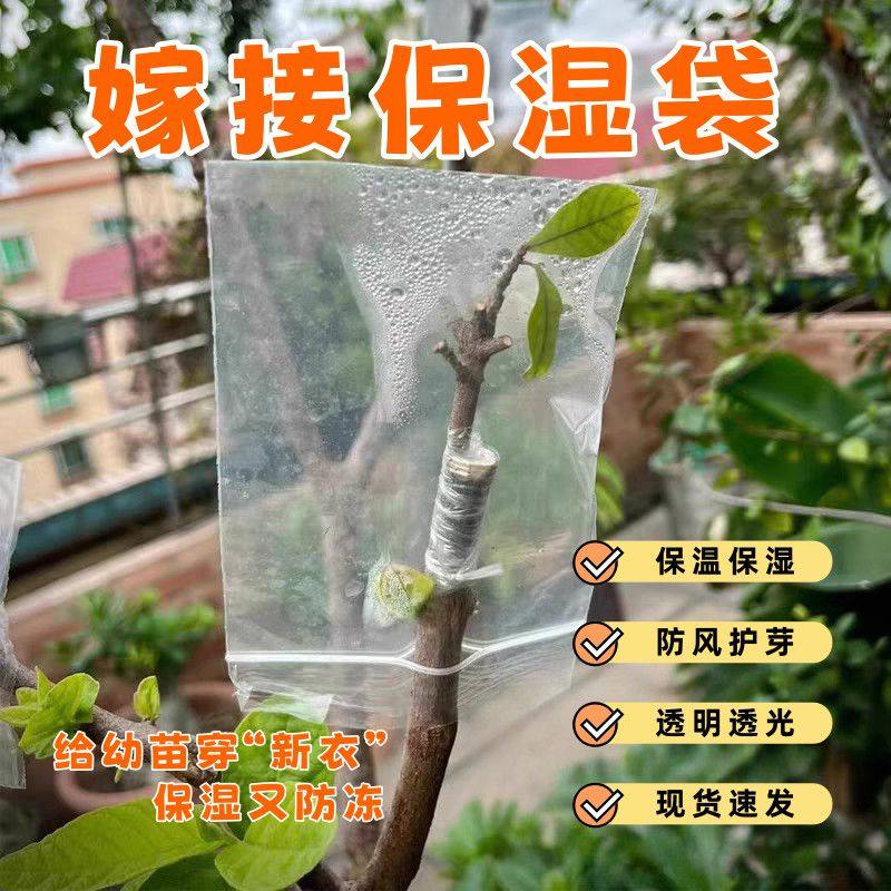 嫁接专用套袋果树嫁接套袋嫁接袋塑料袋嫁接保湿袋自密封口鲜
