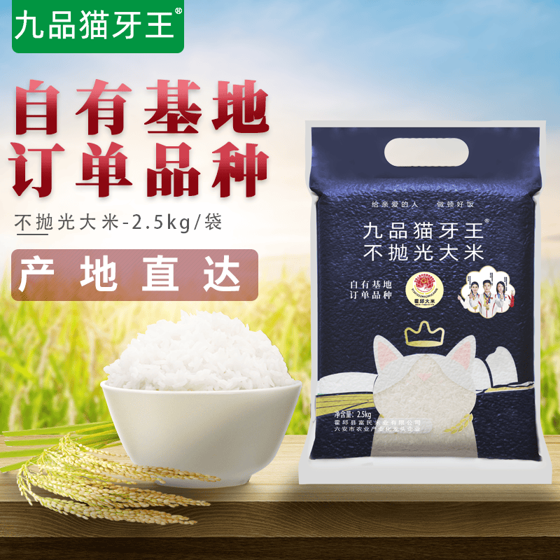正宗长粒九品猫牙王大米不抛光原生态新磨5斤10斤一级优质粘香米