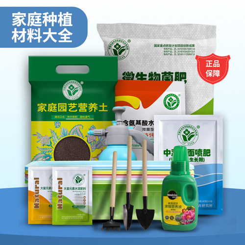 种菜盆简单易种塑料加厚