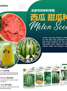 农科院西瓜种子无籽小西瓜苗京美甜王华欣8424麒麟瓜西甜瓜种籽孑