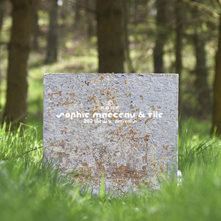 再生材料菌丝体可降解吸音装饰板录音棚防火临时隔断墙材料