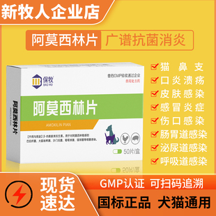 阿莫西林猫用感冒药宠物狗狗专用鼻支流鼻涕口炎感染伤口速消炎药
