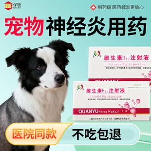 宠物神经炎用药猪牛羊猫狗宠物兽用神经元神经损伤补血营养素