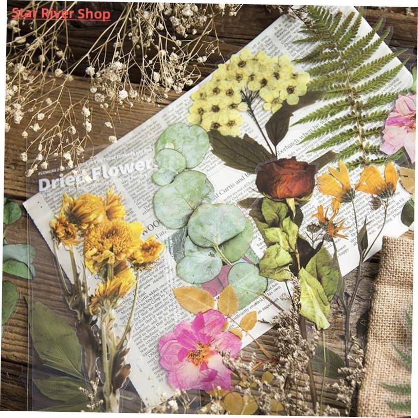 Weekend flower shop series Decorative Stickers Scrapbooking