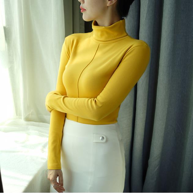 Winter Skinny Turtleneck Sweater Women Bodycon Pullovers