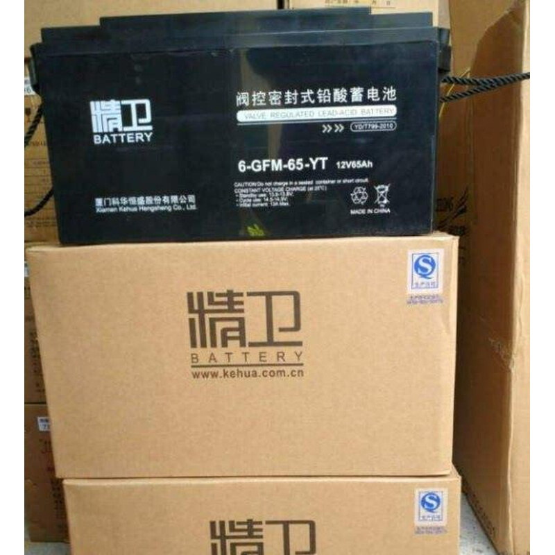 精卫蓄电池6-GFM-65-YT通讯消防照明12V65AH直流屏UPS电源专用