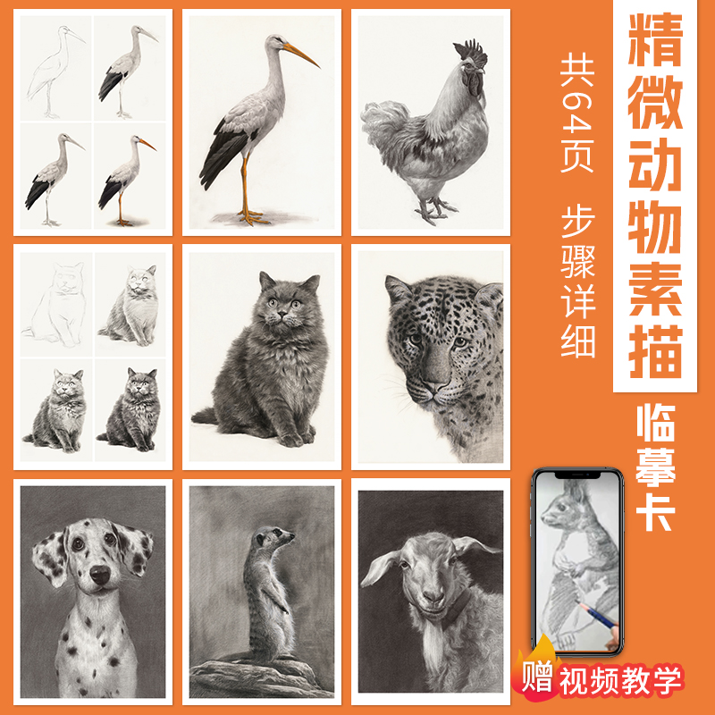 一线美誉动物素描64页