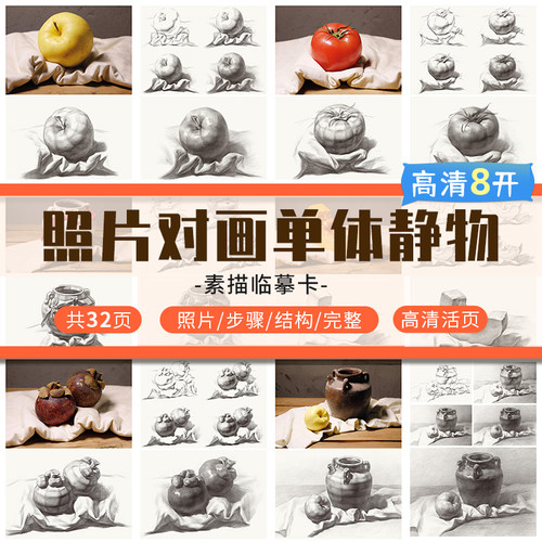 8开素描单体临摹卡照片对画单体静物从步骤到完整创意结构素描作品儿童素描画册临摹本基础美术书籍国美高考教程素描书入门教材