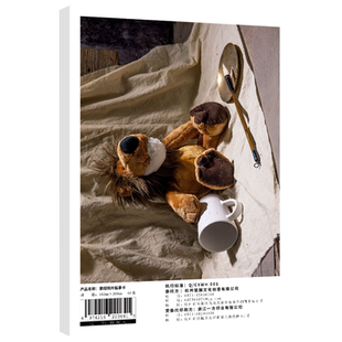 静物照片临摹卡 素描色彩水粉画高清创意石膏几何体单体组合图片结构国美初级画艺考画册书教材基础美术入门高考对照练习书籍