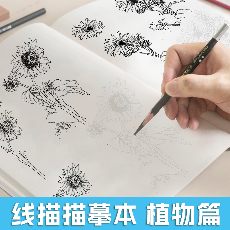 一线美誉线描植物描摹