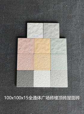 全通体100X100X15广场砖楼顶砖屋面砖广场公园车库抗压防滑瓷砖