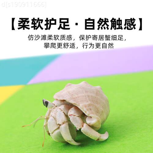 通用型家用居蟹戟绒地爬宠 ～爬寄垫虫地毯垫材 尺寸水多色可多选