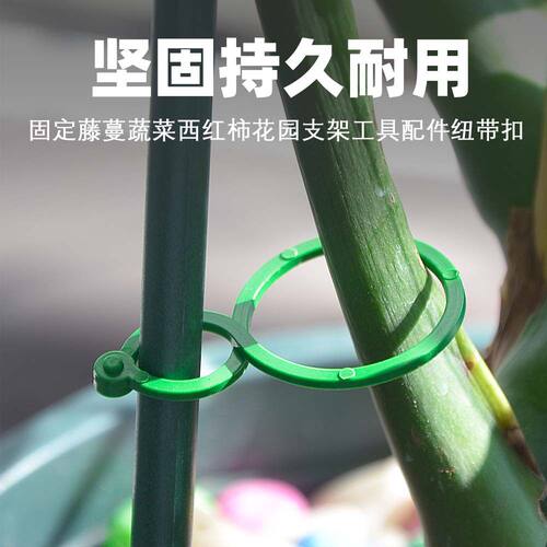 园艺8字扣植物固定夹藤曼扎带