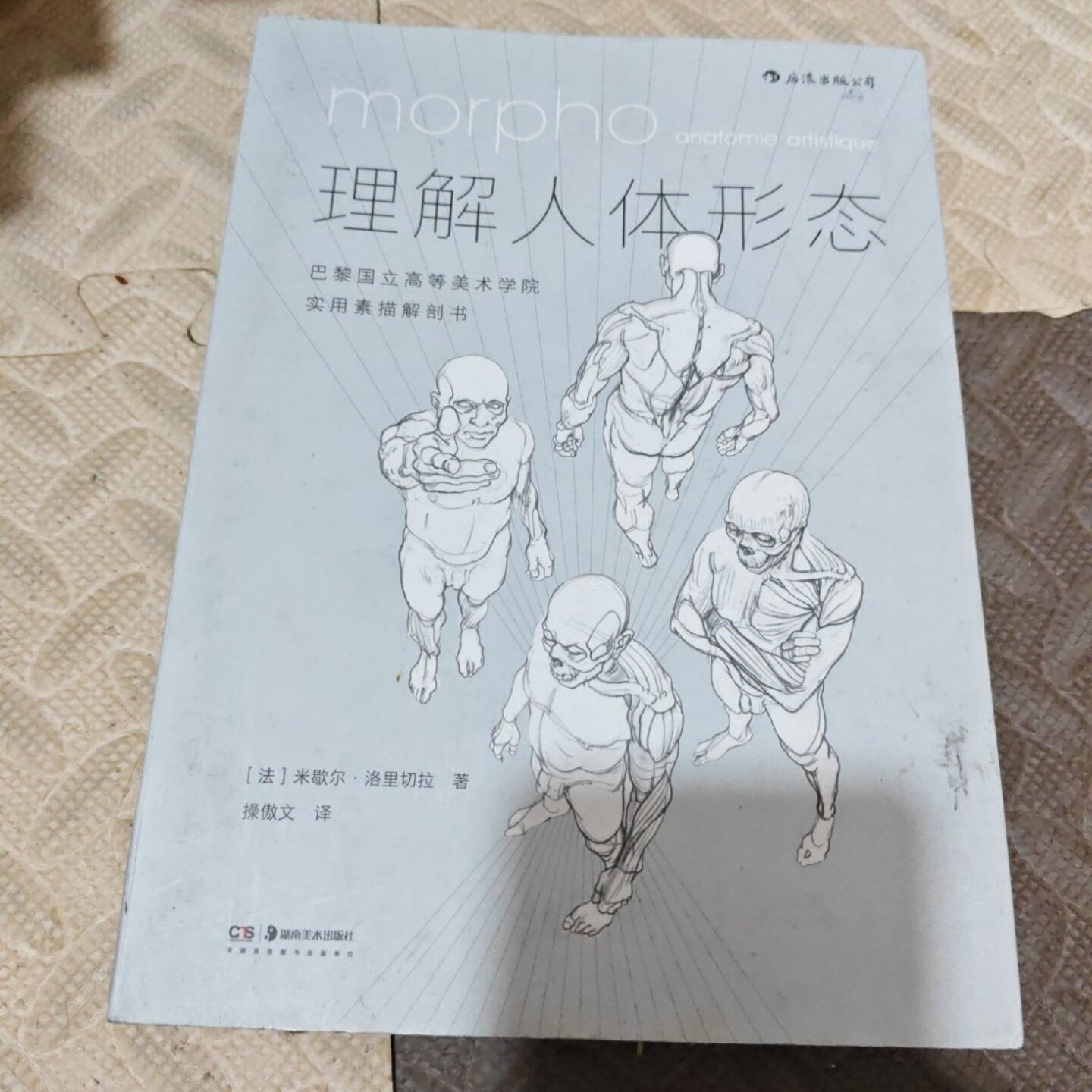 正版旧书 理解人体形态：巴黎国立高等美术学院实用素描解剖书 操傲文 译 / 湖南美术出版社 / 2017-12 /
