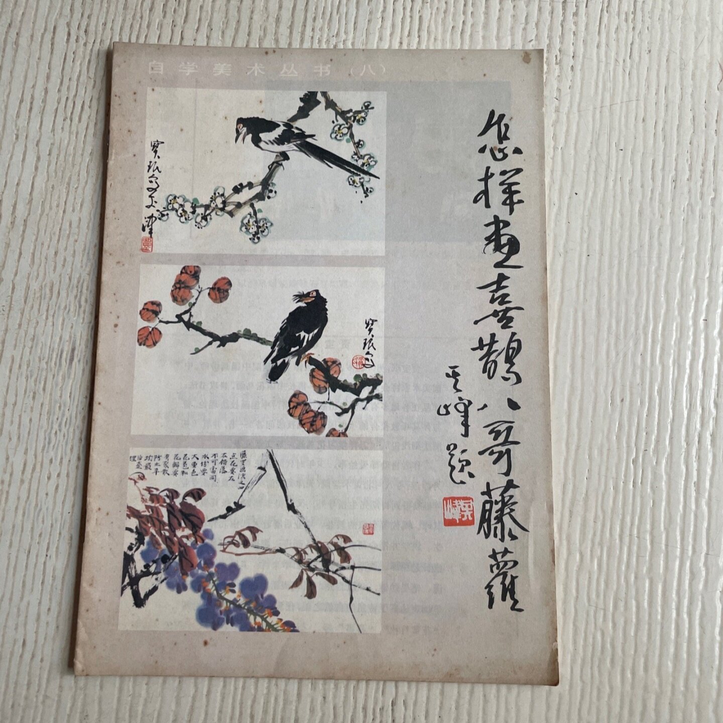 正版旧书 怎样画喜鹊·八哥·藤萝 贾宝珉 中国文联出版社 1987
