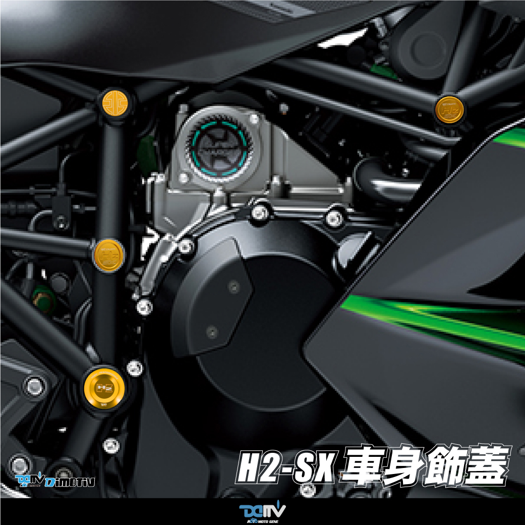 德国 DIMOTIV KAWASAKI 川崎 H2 SX 车身车架防尘饰盖护盖 DMV