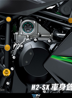德国 DIMOTIV KAWASAKI 川崎 H2 SX 车身车架防尘饰盖护盖 DMV