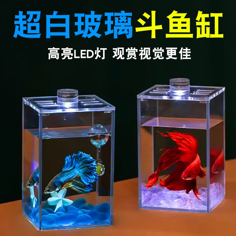 速发斗鱼鱼缸玻璃造景泰国中国用鱼小型桌你超白迷面养的双缸大号