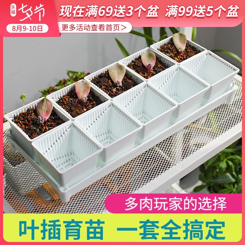 速发多肉育苗套盆叶加控根塑料插厚透气长条型肉肉花装组合带