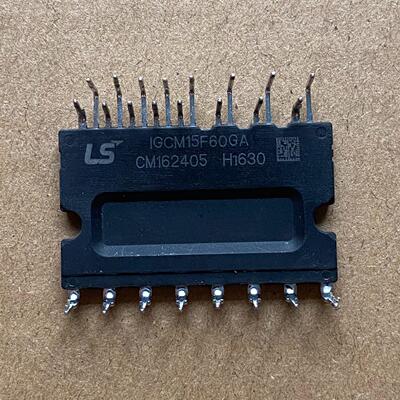 IGCM15F60GA