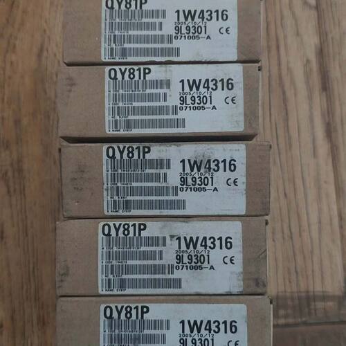 QY81P模块 型号1W4316 货号9L9301