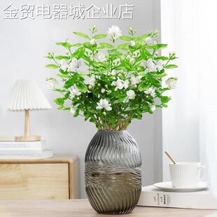 适合水养的花茉莉花盆栽水培室内家养花卉植物花期长好看又好养活