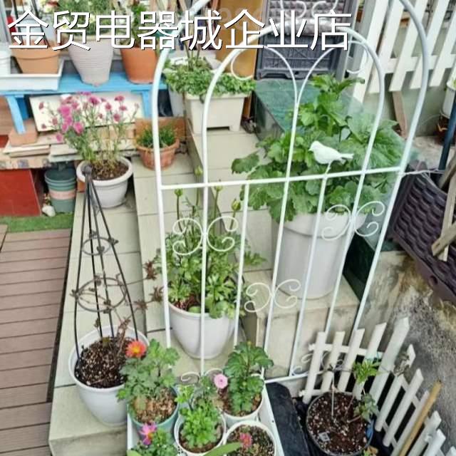 架阳种植花架栅栏月季藤架户外铁线莲蔷薇庭院铁艺支撑杆爬攀爬{