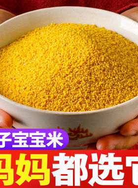 山西特产黄小米新米月子米宝宝米杂粮小黄米米脂小米粥多规格可选