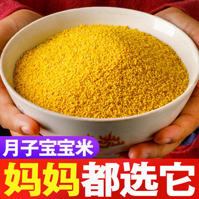山西特产黄小米新米月子米宝宝米杂粮小黄米米脂小米粥多规格可选