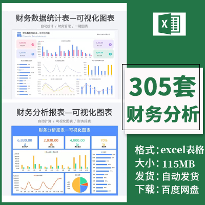 财务分析e表xcel表格公司收入利润会计数据统计分析报表可视化看