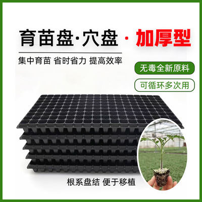 育苗盘穴盘托盘玉米秧苗盘