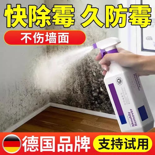 除霉剂除霉喷雾|墙体去霉斑霉菌
