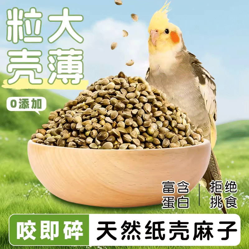 鹦鹉纸壳麻子火麻子鸟粮食玄凤奖励零食纸皮火麻籽饲料,宠物/宠物食品及用品,鸟食,淘宝优惠券,粉丝福利购,淘宝优惠卷