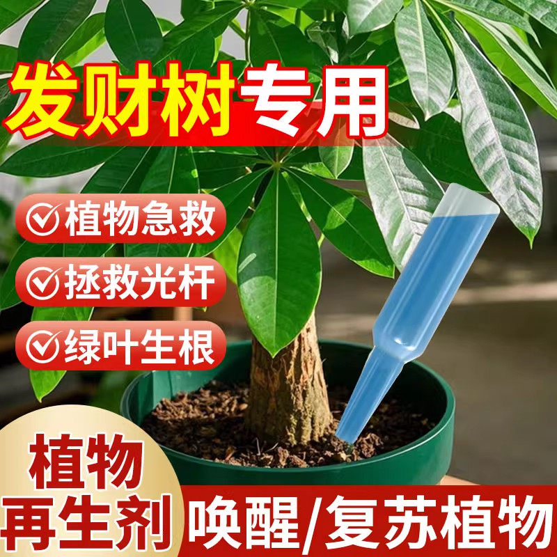 发财树植物再生剂浓缩营养液复活液肥盆栽肥料专用防黄叶枯叶烂根,鲜花速递/花卉仿真/绿植园艺,家庭园艺肥料,淘宝优惠券,粉丝福利购,淘宝优惠卷