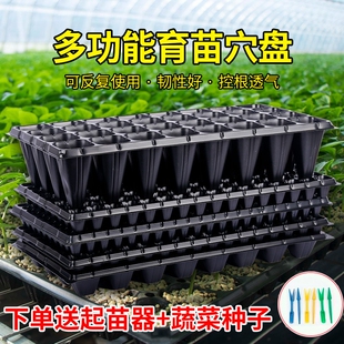 育苗神器穴盘育苗盘蔬菜塑料秧盘育苗盆托盘培育盆种植玉米发芽