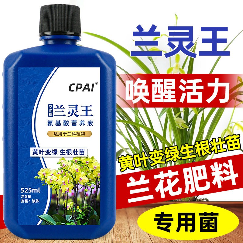 兰花专用营养液兰灵王专用肥料杀菌君子兰兰陵王多箭素微生物菌剂