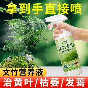 文竹营养液治黄叶花肥云竹专用肥料云松水培盆栽免稀释液体肥养护