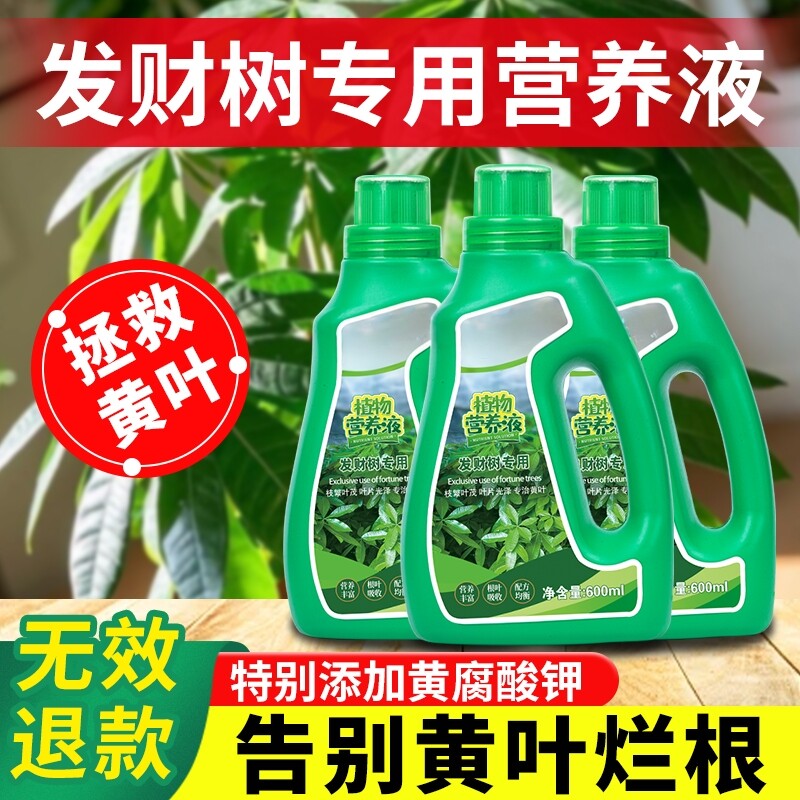 发财树专用营养液防黄叶枯叶烂根专用营养液发财树营养肥有机肥料