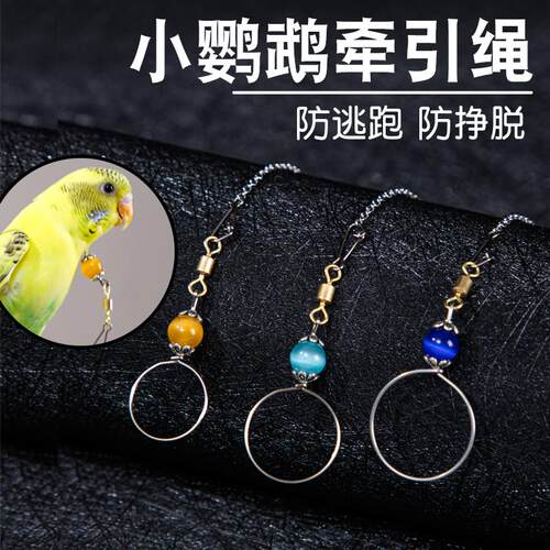 小鹦鹉牵引绳放飞遛鸟绳虎皮牡丹专用脖套不锈钢外出链不伤脚神器