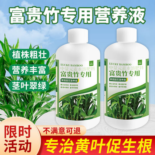 富贵竹专用营养液水培植物治叶子黄叶生根转运观音竹盆栽通用肥料