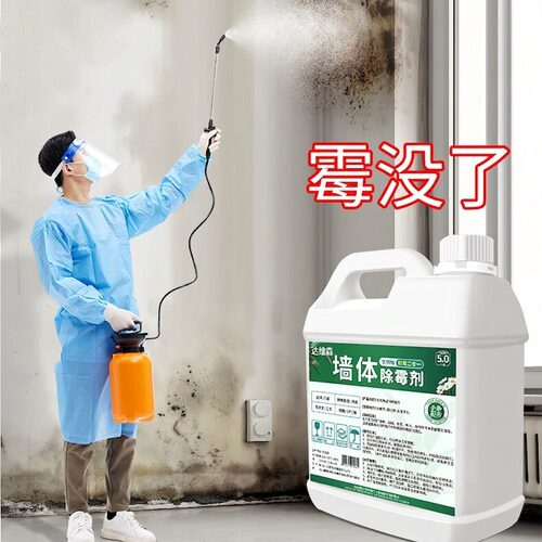 热销10W+|家政专用墙体除霉剂