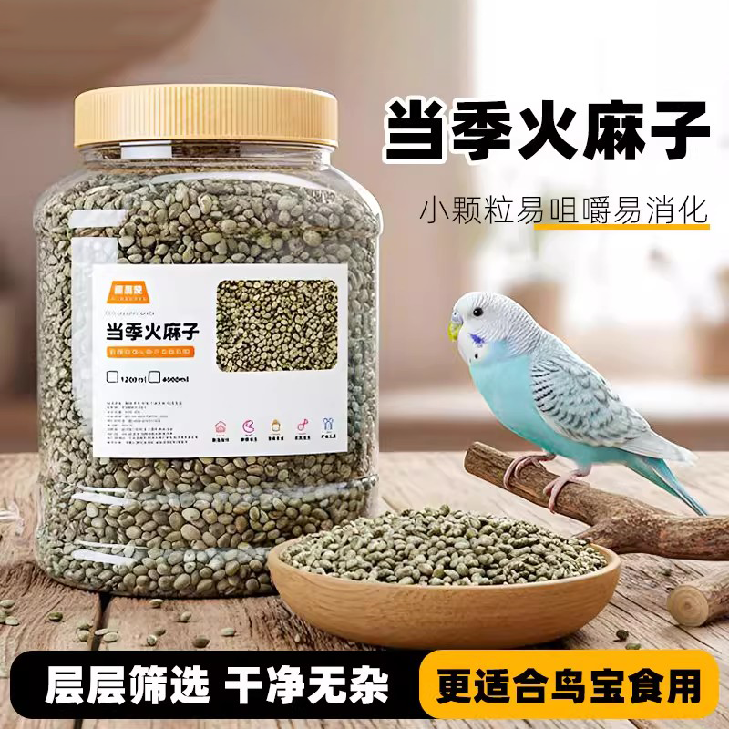 鹦鹉麻子火麻仁火麻籽小鸟食饲料鹦鹉粮小太阳虎皮牡丹玄凤小颗粒,宠物/宠物食品及用品,鸟零食,淘宝优惠券,粉丝福利购,淘宝优惠卷