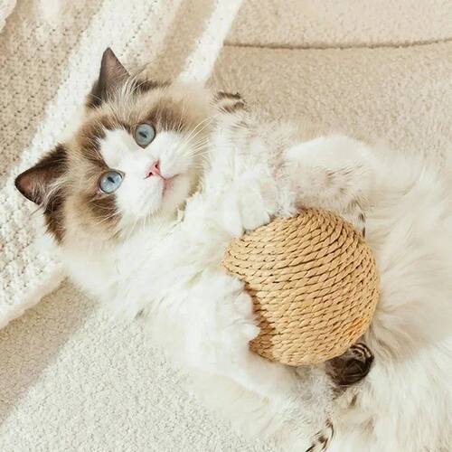 Interactive Sounding Cat Ball Toy 10CM Sisal Scratching Ball