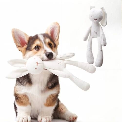 1PC Random Color Easter Cartoon Rabbit Pet Plush Toy with Do