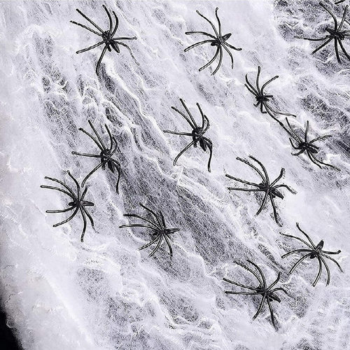 HalloweenSpiderCoWeb