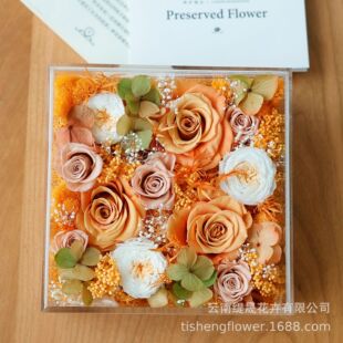 GLORIOUS永生花成品亚克力花盒保鲜花11朵玫瑰花送女友情人节礼物