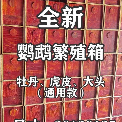 虎皮牡丹和尚专用太阳大头鹦鹉下蛋保暖八哥木质鸟窝玄凤繁殖箱