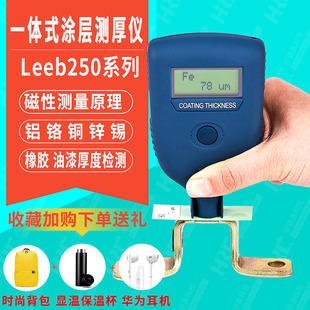 里博leeb250涂层测厚仪汽车漆橡胶油漆涂料覆层漆膜测厚仪leeb251