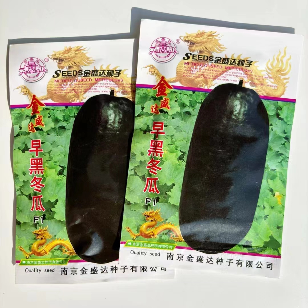 金盛达早黑冬瓜黑皮冬瓜种子