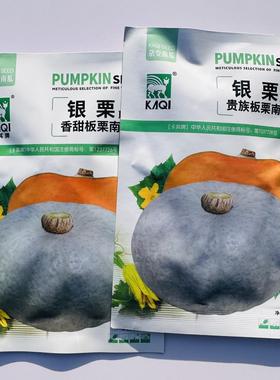 卡其银栗南瓜种子中早熟贝贝南瓜种籽银灰色板栗小南瓜子甘甜粉糯